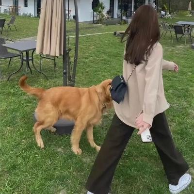 女神捕之心鬼难防